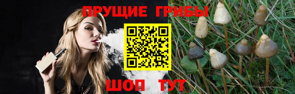 Галлюциногенные грибы прущие грибы  Вход с VPN  Галлюциногенные грибы прущие грибы  Тавда 